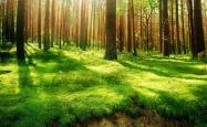开云体育APP下载-宿命的轮回，2026世界杯，突尼斯血洗丹麦，费利克斯在强硬对抗中书写历史重演