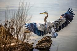 开云体育登录-逆转之魂，从斯坦福桥到阿布扎比