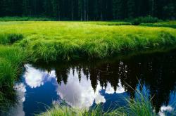 开云体育登录-欧冠决赛之夜，当塔图姆将防守铸成艺术，世人终见那被遗忘的唯一性