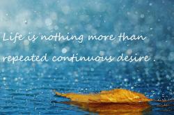 开云体育入口-最后七分钟，无人认识的替补成了整个英超的上帝