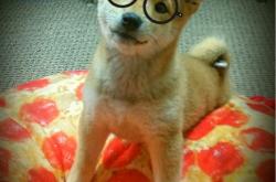 开云体育app-永恒之城怒涛！罗马欧冠奇迹夜，一波流带走巴西巨星军团