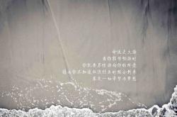 开云体育登录-当足球场的晨曦照进篮球馆，论两种终结背后的生存意志