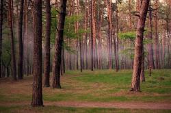 开云体育平台APP-王者之战，国王以铁血防守碾压掘金，奥运周期的关键焦点战