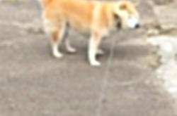 开云体育登录-战术密码，摩洛哥的集体密钥与本泽马的暴力破解