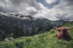 开云sport-沙漠风暴逆袭高原雄鹰，2026世界杯沙特惊天逆转玻利维亚