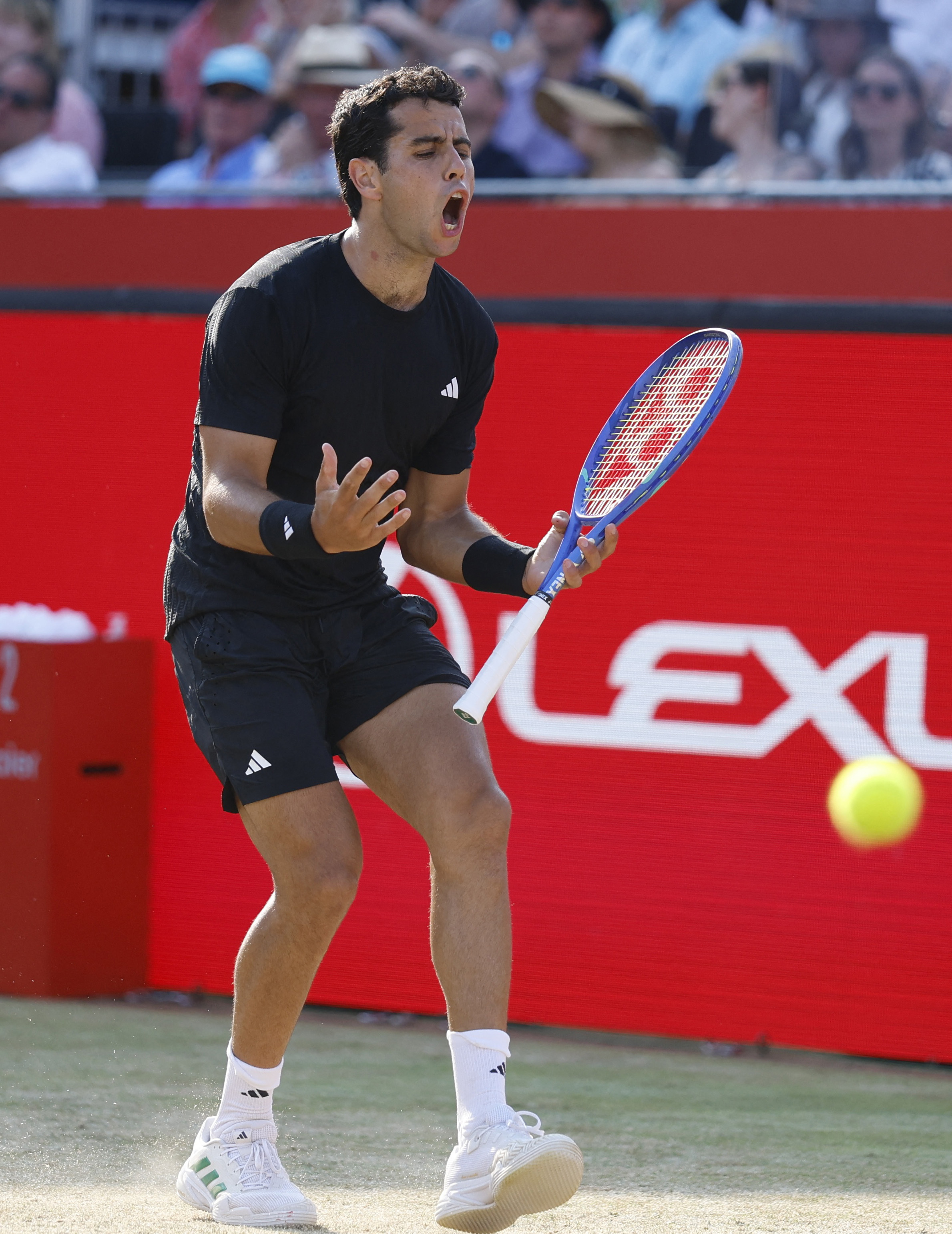 意大利网球队爆冷英国网球队，阿尔卡拉斯绝境逆转