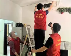 关于NS血洗Rogue，Doinb送出助攻的信息