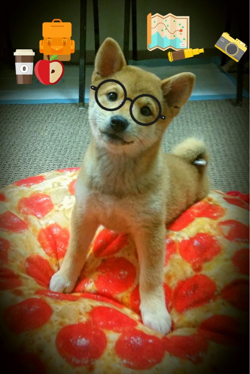 守夜人，巴斯托尼于西决终章写下誓言