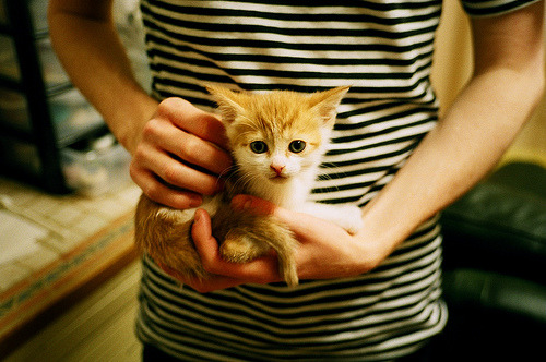 暴风雨之夜，闪电在穹顶之上，拉梅洛统治西决生死战