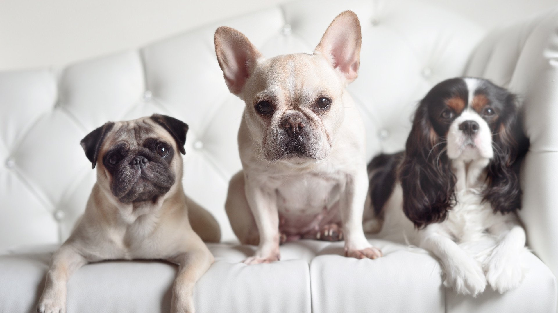 欧冠决赛之夜，当塔图姆将防守铸成艺术，世人终见那被遗忘的唯一性