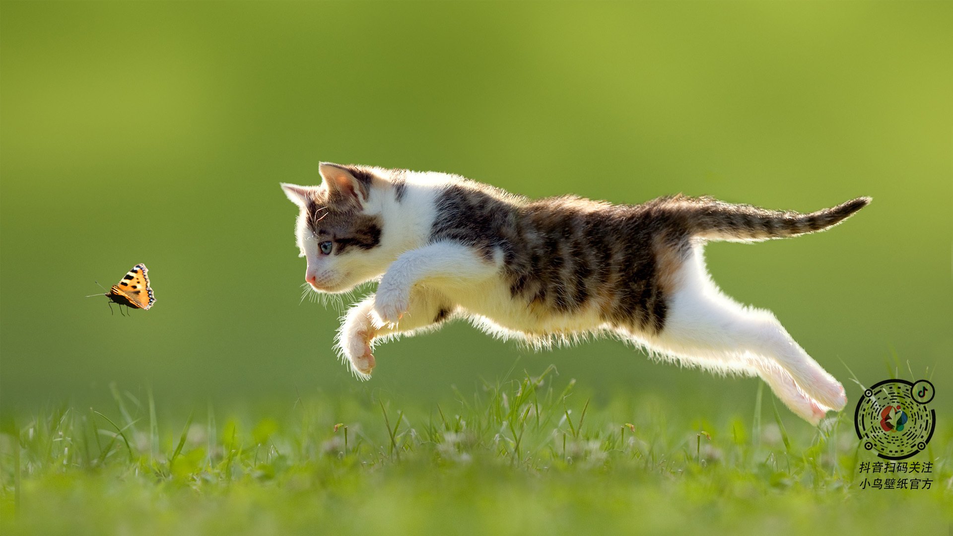 天山脚下响惊雷！新疆跨域力擒雷霆，西亚卡姆定江山