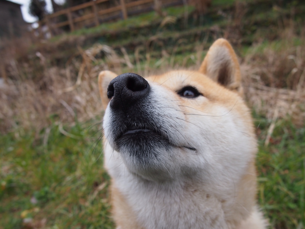 星球撞击时刻,沉默的利拉德如何成为篮网与广厦之战的风暴眼?