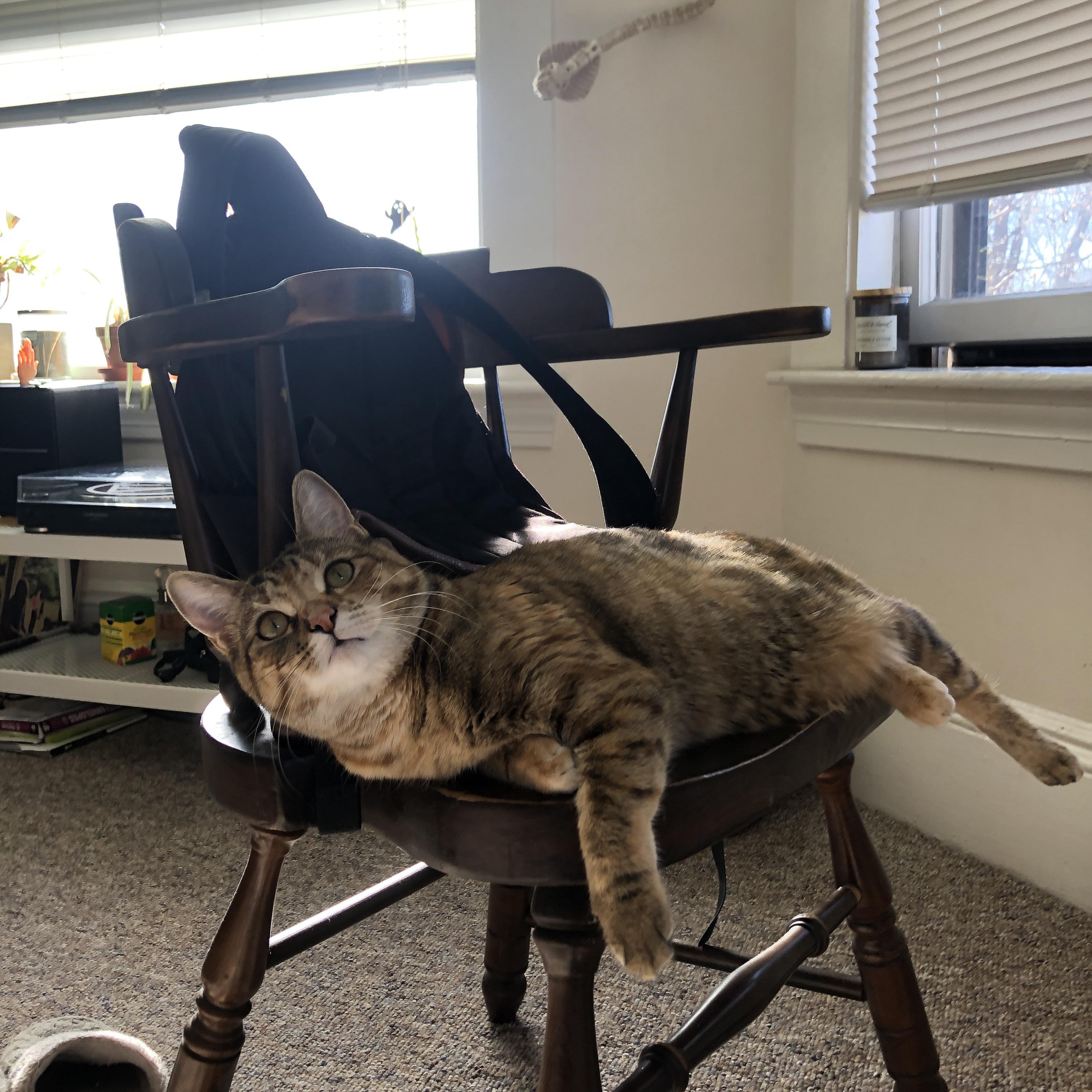 1.奇迹南半球,新西兰力克荷兰,哈弗茨一锤定音改写足球叙事