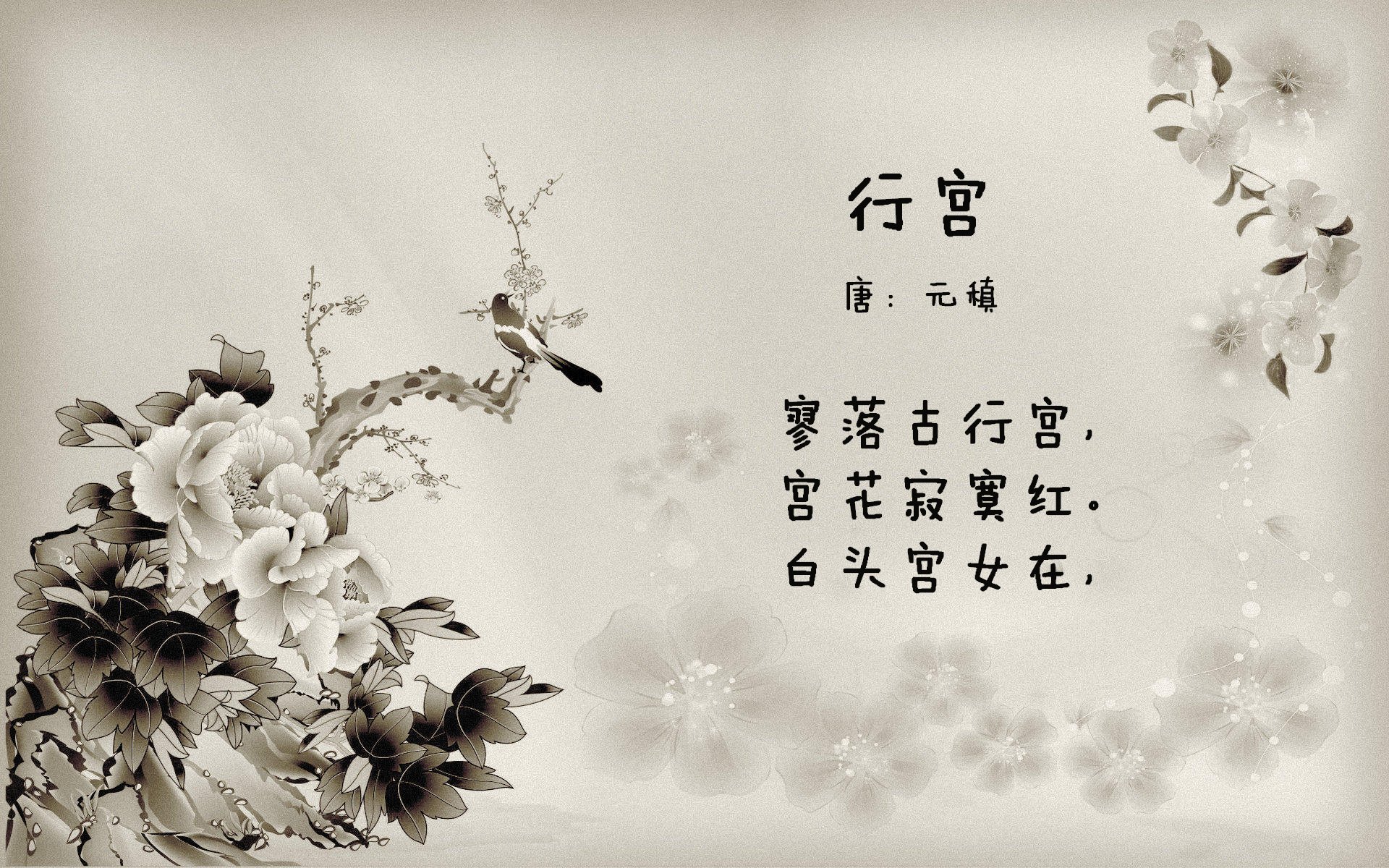 掌控呼吸，上海在时间缝隙中击穿浙江的节奏迷宫