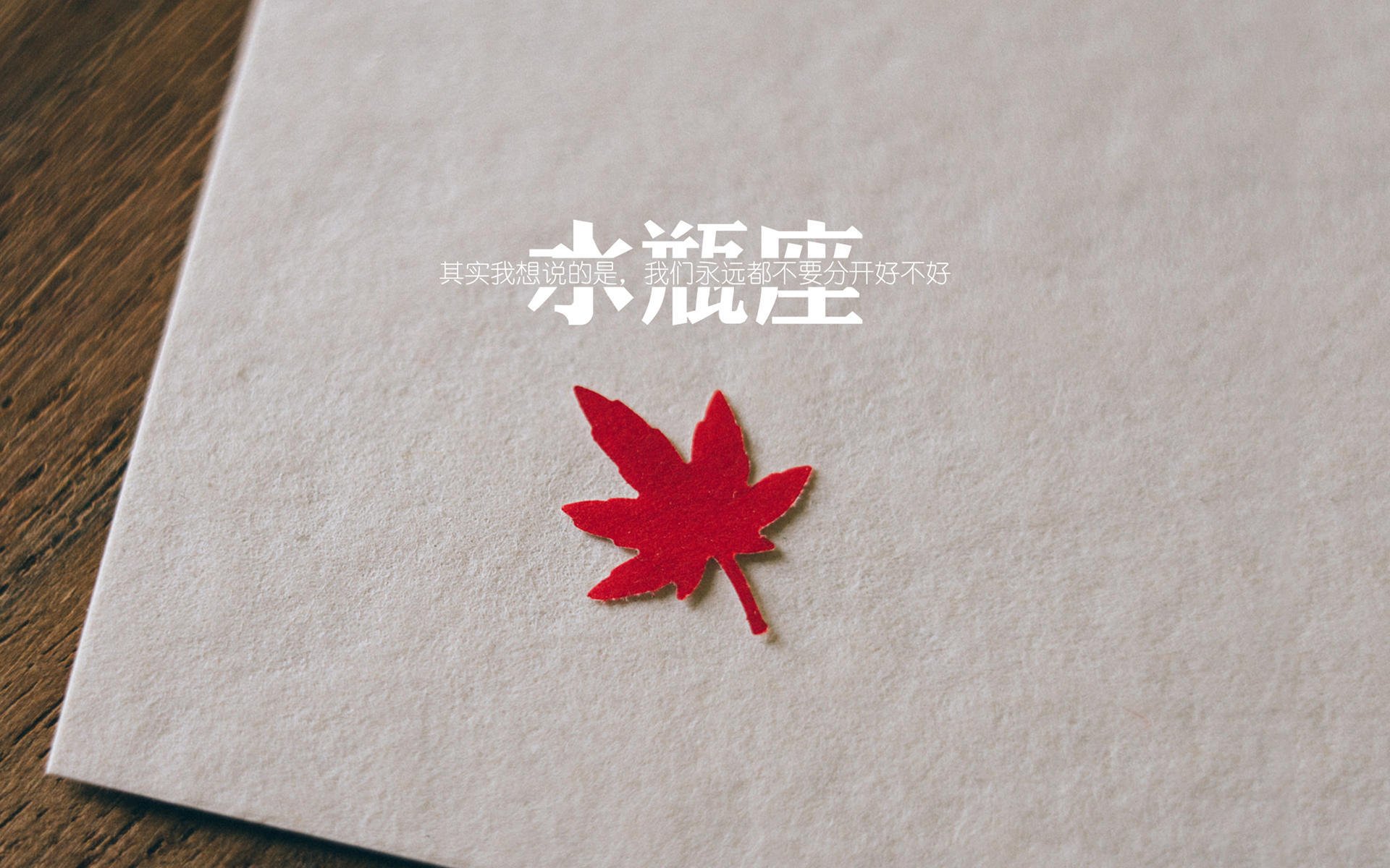 时空裂缝中的对决，2026世界杯焦点战，尼克斯末节带走浙江队