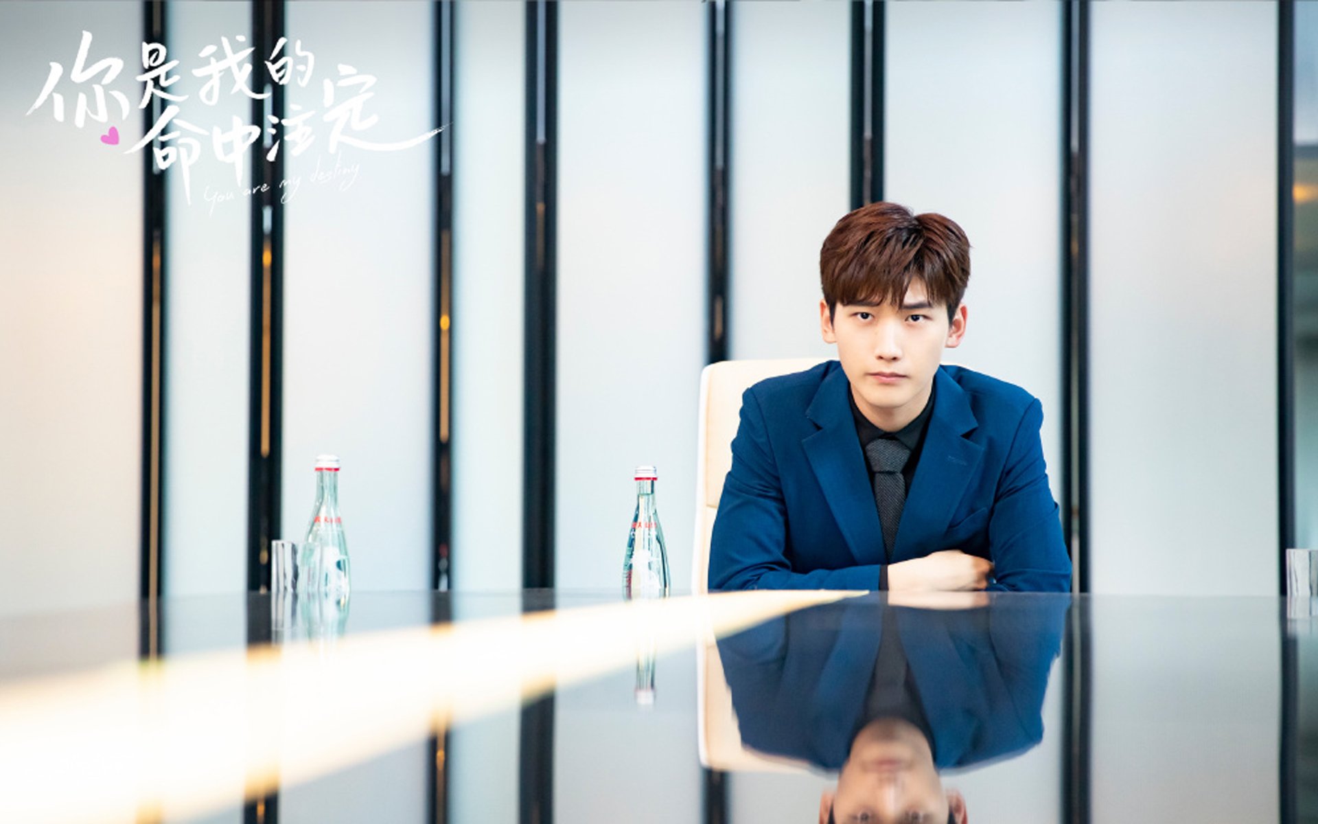 贝恩如手术刀切开天罗地网，深圳大胜背后是乱局解题者的诞生