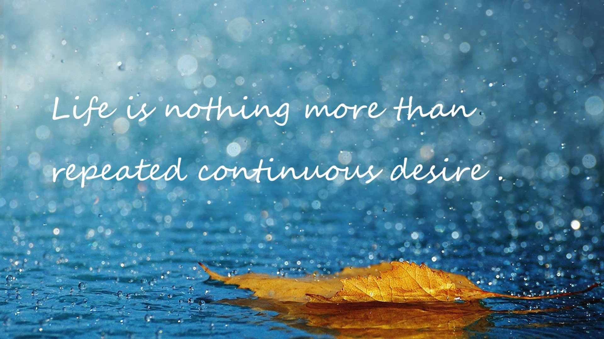 最后七分钟，无人认识的替补成了整个英超的上帝