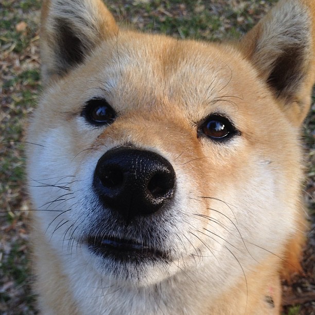 最后七分钟，无人认识的替补成了整个英超的上帝