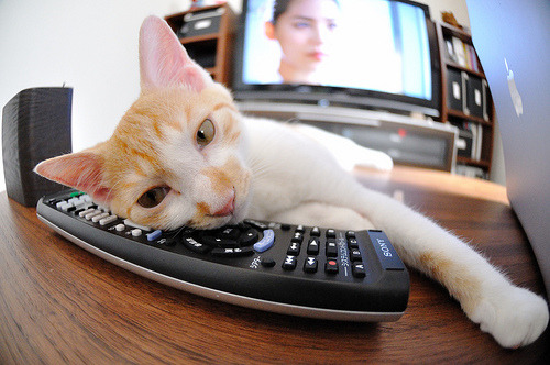 当丹佛高原的风吹进深圳湾,一场不可能的对决与存在感拉满的约基奇