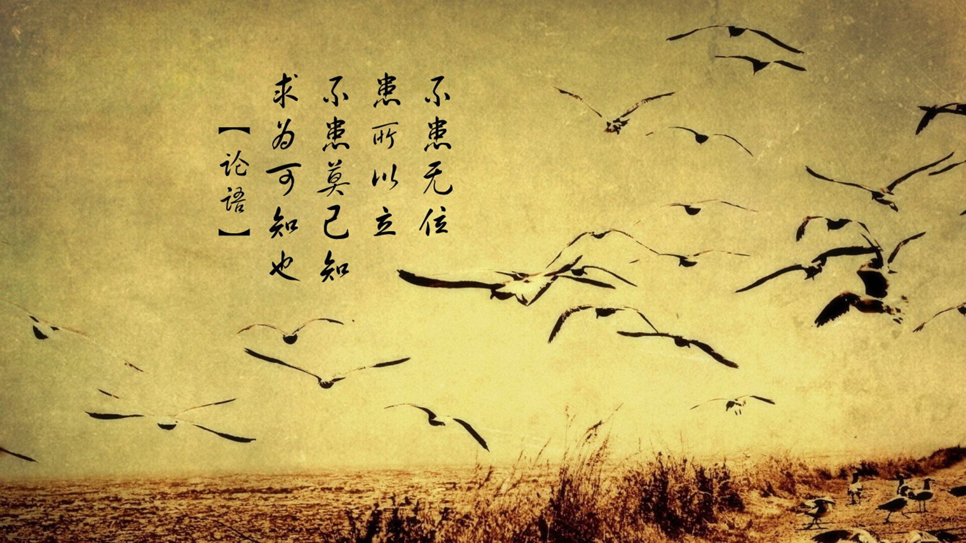 奥运周期启幕之夜,德里赫特用钢铁防线书写国家队新纪元