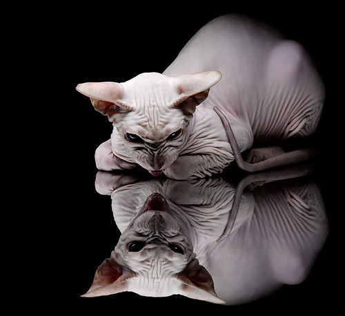 恩比德复出主宰赛场!活塞116,113马刺,惊险胜利背后的孤星闪耀