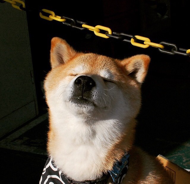 狂胜之夜,从失意尖兵到关键先生,塔图姆如何完成自我救赎?