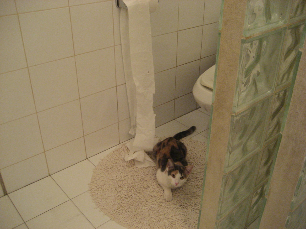 东契奇独木难支!新疆飞虎铁链囚龙战术,让热火三叉戟哑火