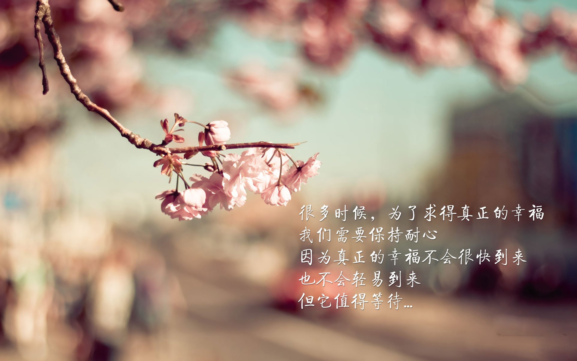 体育界的跨界奇迹,拉齐奥力克阿森纳,罗德里在NBA总决赛接管比赛