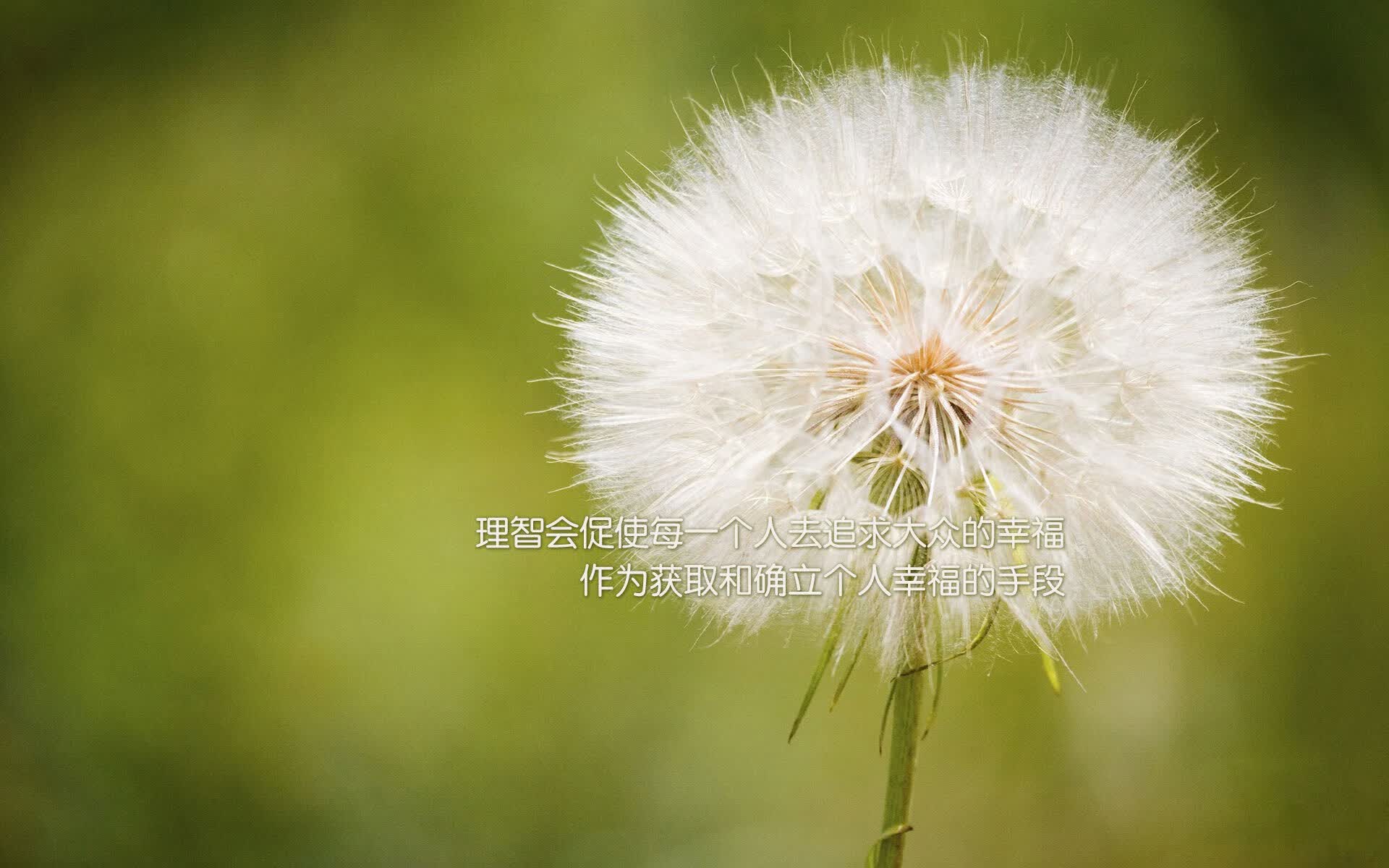 孤星照耀,迪亚斯与罗马尼亚在2026世界杯A组生死战中的唯一答案